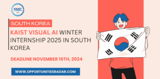 KAIST Visual AI Winter Internship 2025