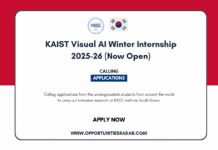 KAIST Visual AI Winter Internship 2026 in Daejeon, South Korea KAIST Visual AI Winter Internship 2026