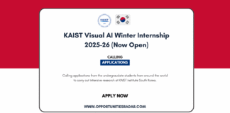 KAIST Visual AI Winter Internship 2026