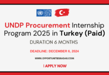 UNDP Procurement Internship 2025