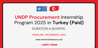 UNDP Procurement Internship 2025