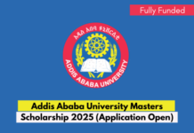 Addis Ababa University Masters Scholarship 2025