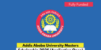 Addis Ababa University Masters Scholarship 2025