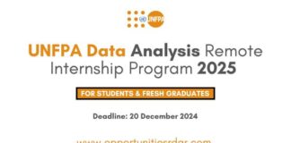 UNFPA Data Analysis Internship 2025