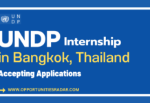 UNDP Internship Program 2025