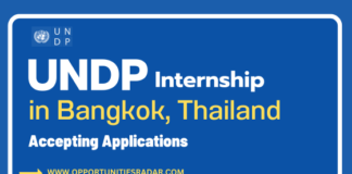 UNDP Internship Program 2025