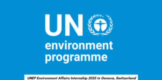 UNEP Environment Affairs Internship 2025