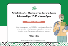 Chief Minister Honhaar Undergraduate Scholarships 2025-26