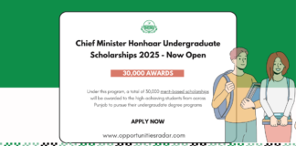 Chief Minister Honhaar Undergraduate Scholarships 2025-26
