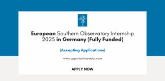 European Southern Observatory Internship 2025