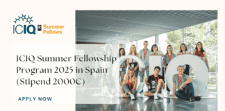 ICIQ Summer Fellowship Program 2025