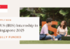 NUS IRIS Internship in Singapore 2025
