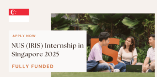NUS IRIS Internship in Singapore 2025