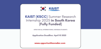 KAIST (KSCC) Summer Research Internship 2025