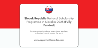 Slovak Republic National Scholarship Programme 2025