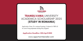 Transilvania University Academica Scholarship 2025