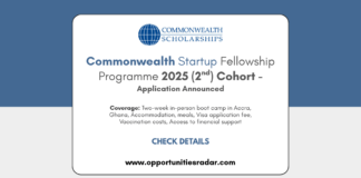 Commonwealth Startup Fellowship 2025