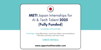 METI AI and Tech talent Internship 2025