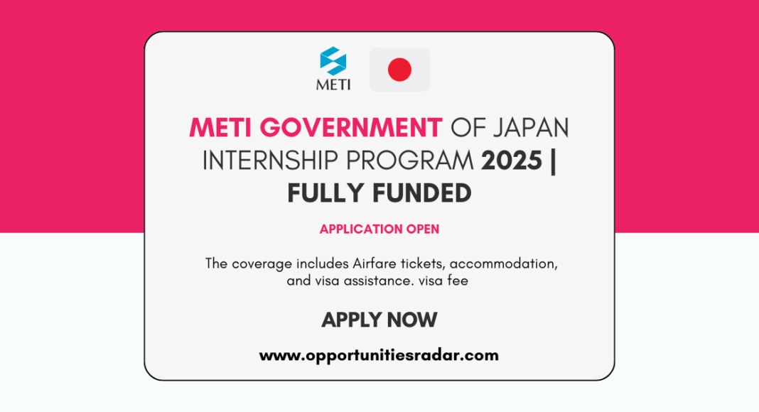 METI Government of Japan Internship 2025