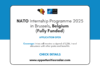 NATO Internship Programme 2025