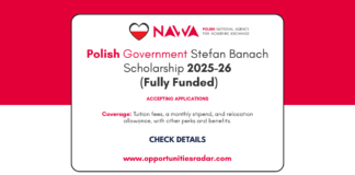 Polish Government Stefan Banach Scholarship 2025