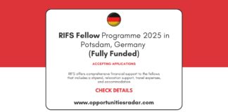 RIFS Fellow Programme 2025