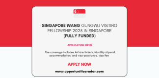 Singapore Wang Gungwu Visiting Fellowship 2025