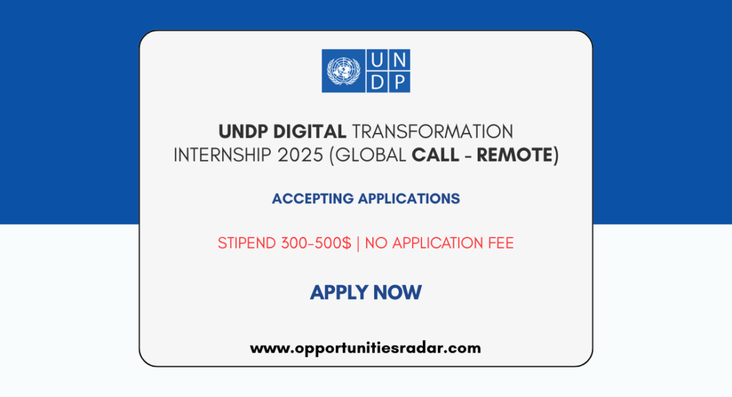 UNDP Digital Transformation Internship 2025