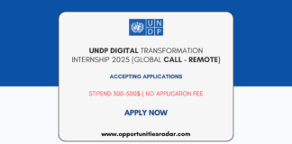 UNDP Digital Transformation Internship 2025