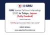 UNU Junior Fellows Internship 2025