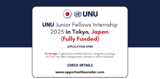 UNU Junior Fellows Internship 2025