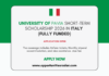 University of Pavia Short-term Scholarship 2026