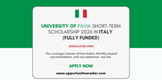 University of Pavia Short-term Scholarship 2026