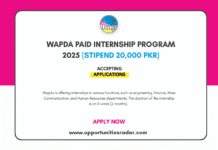 Wapda Paid Internship Program 2025 (Stipend 20,000 Pkr) wapda internship programme 2025