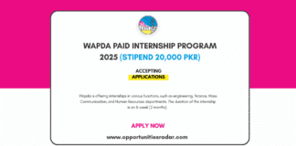 wapda internship programme 2025