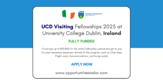 UCD Visiting Fellowships 2025