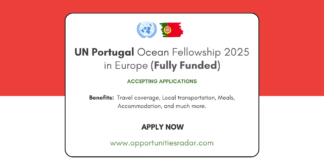 UN Portugal Ocean Fellowship 2025