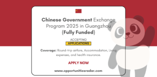 Chinese Government Exchange Program 2025