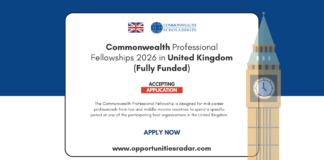 Commonwealth Professional Fellowships 2026