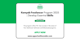 Kamyab Freelancer Program 2025