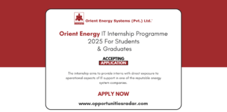 Orient Energy IT Internship Program 2025