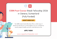 CERN Post Career Break Fellowship 2026