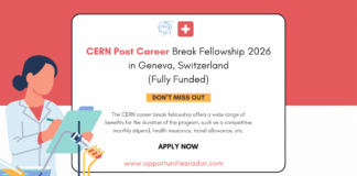 CERN Post Career Break Fellowship 2026
