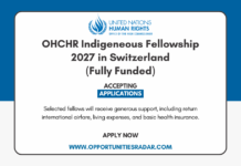 OHCHR Indigeneous Fellowship 2027