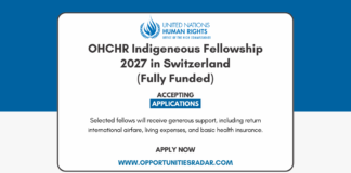 OHCHR Indigeneous Fellowship 2027