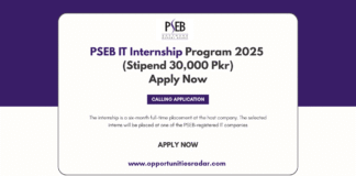 PSEB IT Internship Program 2025
