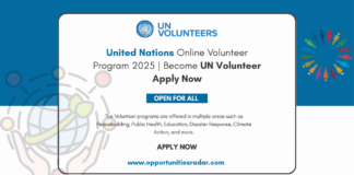 United Nations Online Volunteer Program 2025