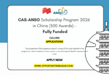 CAS-ANSO Scholarship 2026
