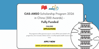 CAS-ANSO Scholarship 2026