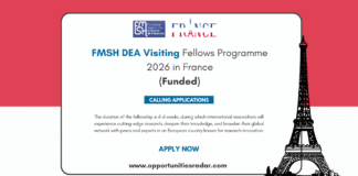 FMSH DEA Visiting Fellows Program 2026